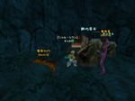 監視の目